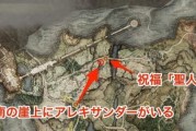 艾尔登法环塞尔维斯支线任务怎么完成？攻略要点有哪些？