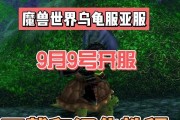 魔兽世界乌龟服属性调整方法？