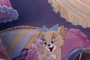 汤姆猫中小母猫的品种是什么？