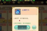 热血江湖手游q3耳环使用方法是什么？