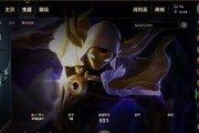 英雄联盟中铂金职业具体指什么？
