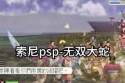 无双大蛇2特别版汉化如何进行？汉化后有哪些新体验？