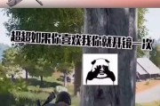 绝地求生如何取一个幽默的车手名字？有哪些创意建议？
