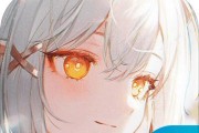 《光隙解语符文获取途径一览》（解开光隙的语言之谜）