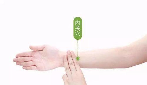 江湖悠悠宁心丸配方揭秘（游戏中的药丸，你知道吗？）