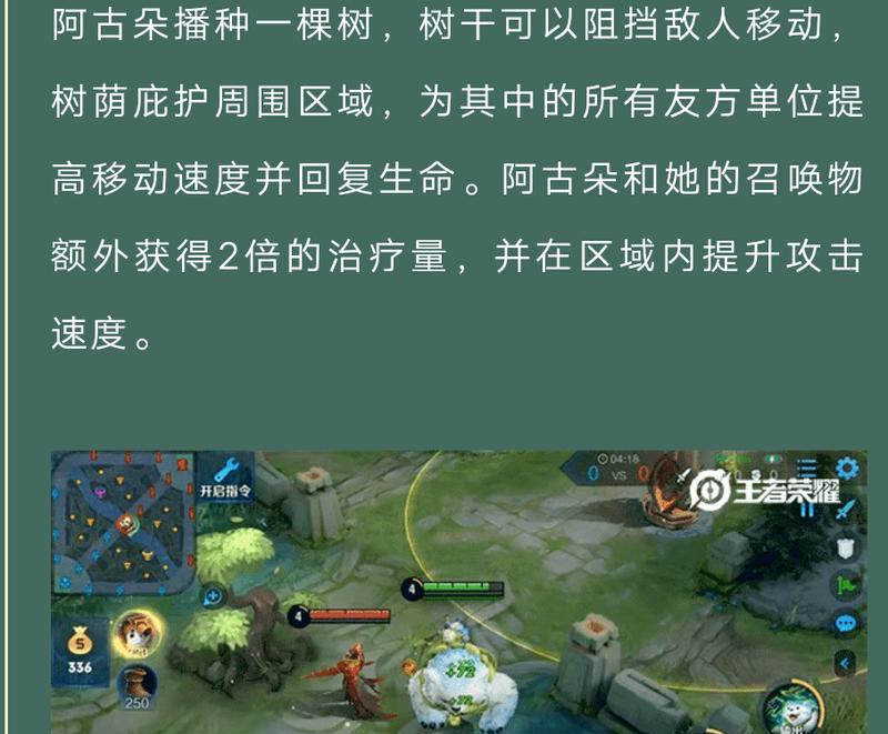 荣耀阿古朵打野铭文攻略