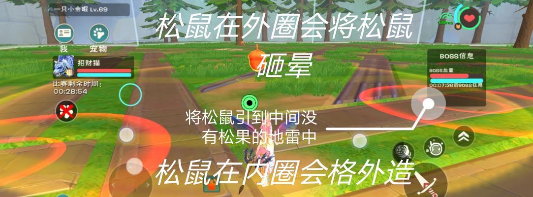《探索创造与魔法松鼠宠物的技能属性》（解密魔法松鼠的技能与能力）