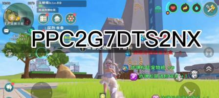 《探索创造与魔法松鼠宠物的技能属性》（解密魔法松鼠的技能与能力）