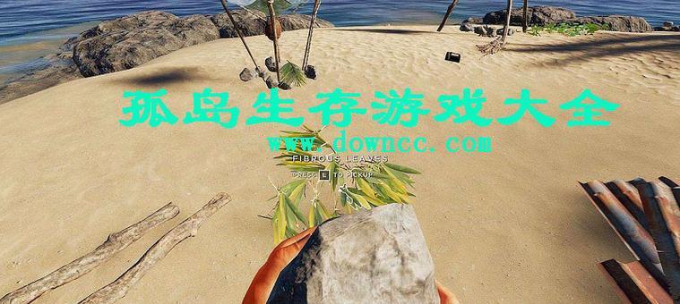 探寻游戏中最有效的天赋，助你在荒岛上生存发展（探寻游戏中最有效的天赋）