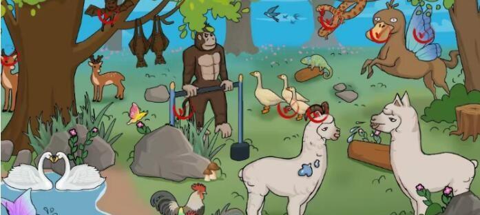 《猴子也疯狂》五种动物有哪些？动物特点是什么？