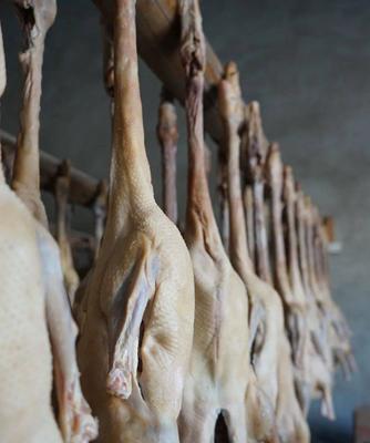 鹅鹅鸭肉汁技能怎么玩？肉汁技能玩法有哪些技巧？