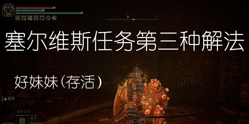 艾尔登法环塞尔维斯支线任务怎么完成？攻略要点有哪些？