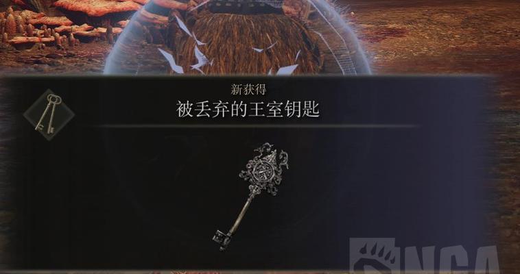 艾尔登法环雪魔女菈妮支线任务怎么完成？攻略要点有哪些？