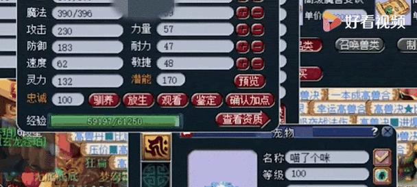 梦幻西游鬼区打宝宝有什么技巧？如何在鬼区成功打宝宝？