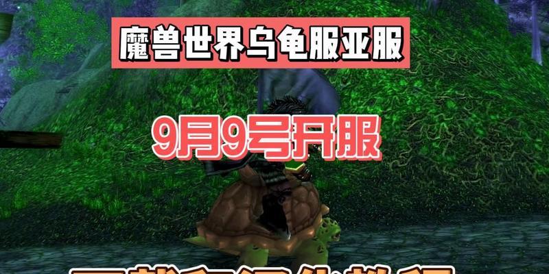 魔兽世界乌龟服属性调整方法？