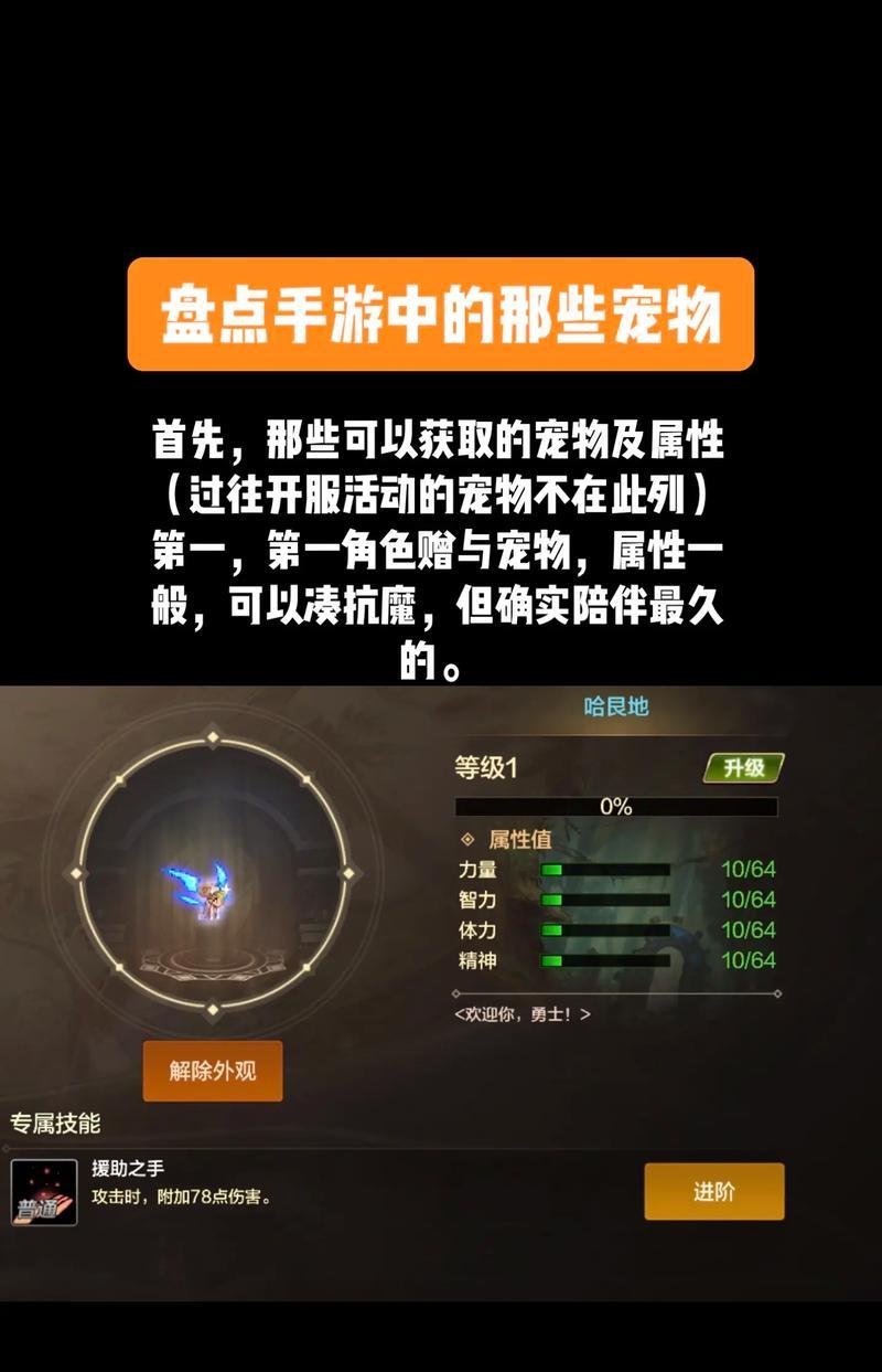 dnf宠物名字设置有哪些限制？