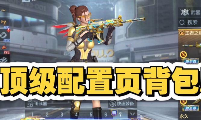 CF龙宝背包的售价是多少？