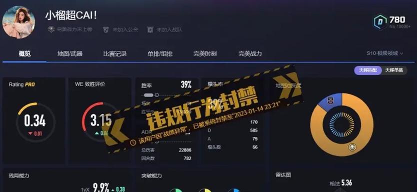完美世界平台战绩查看方法是什么？战绩信息有何作用？