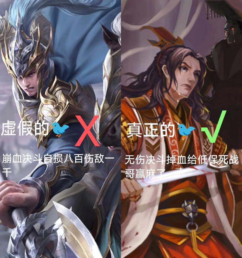 三国杀ol丹青墨泽的用途是什么？