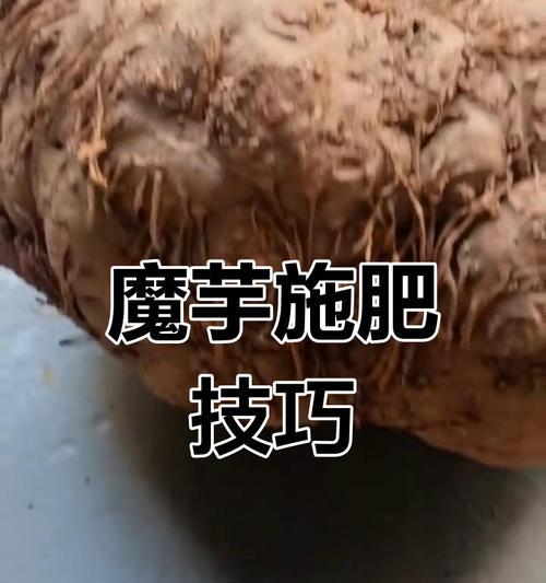 魔域种植需要哪些肥料？如何正确使用肥料？